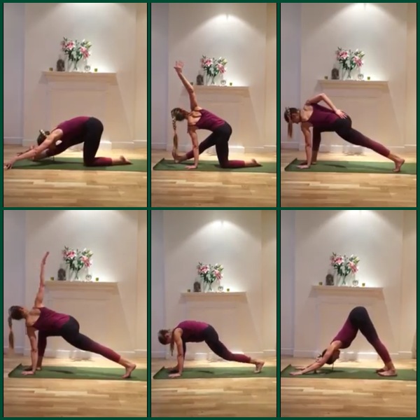 Padmasana, Lotus Posture how to do guide - yogalily.com